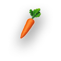 carrot